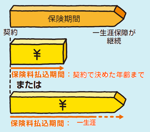 一生涯を保障する保険の場合の払込期間一生涯2