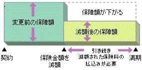 保険金の減額