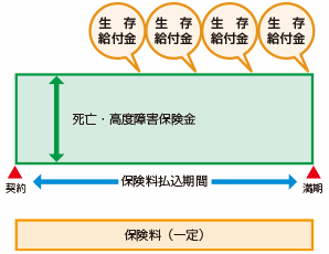 生存給付金付定期保険　全期型