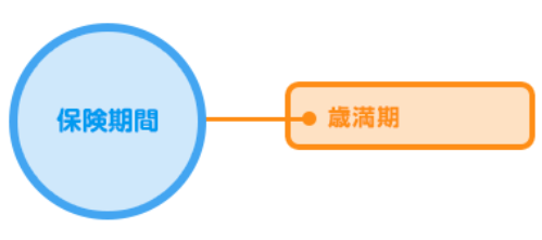 こども保険・保険期間