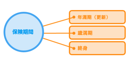 医療・保険期間