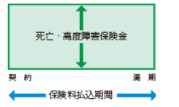 定期保険・定額型