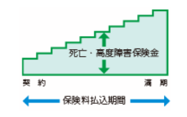 定期保険・逓増型