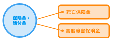 定期保険・保険金