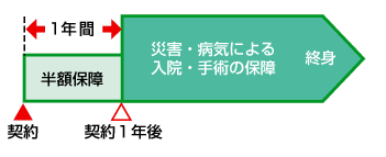 限定告知型医療保険の仕組図