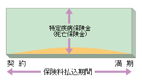 （特定疾病保障定期保険の例）