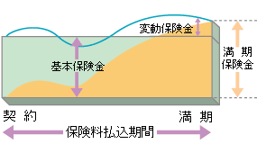 (1) 満期時に満期保険金が基本保険金を上回った場合