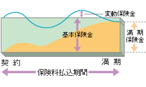 (2) 満期時に満期保険金が基本保険金を下回った場合