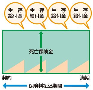 生存給付金付定期保険