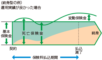 変額保険_終身型（上回る）