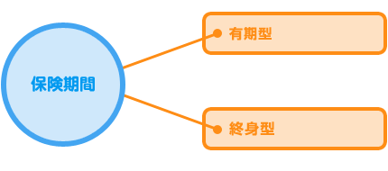 変額保険_保険期間