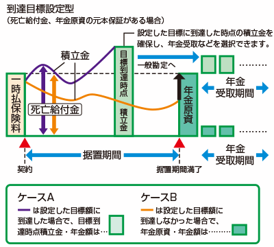 変額個人年金保険_ターゲット型