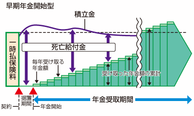 変額個人年金保険_早期年金開始型