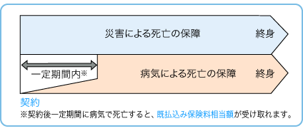 終身保険