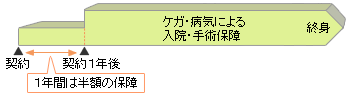 医療保険・終身タイプの例