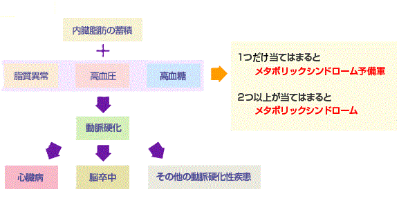図_メタボ基準