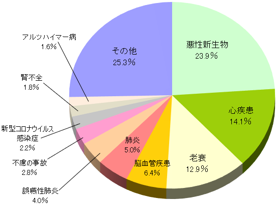 図表_死因別死亡数の割合2024