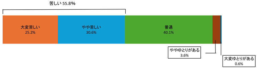 図表_高齢者世帯の生活意識_2024