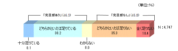 医療保障に対する充足感2022