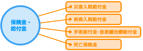 医療保障 医療保険 ほけんガイドweb 公益財団法人 生命保険文化センタ